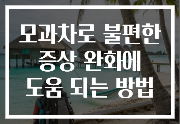 모과차로 불편한 증상 완화에 도움 되는 방법