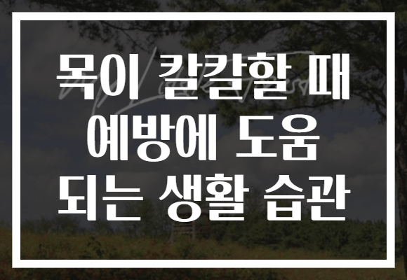 목이 칼칼할 때 예방에 도움 되는 생활 습관