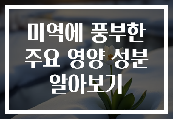 미역에 풍부한 주요 영양 성분 알아보기