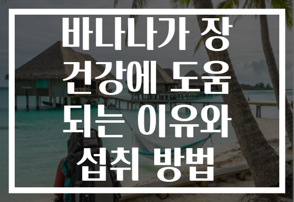 바나나가 장 건강에 도움 되는 이유와 섭취 방법