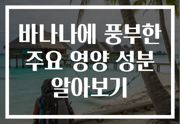바나나에 풍부한 주요 영양 성분 알아보기