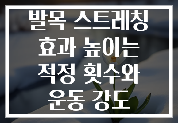 발목 스트레칭 효과 높이는 적정 횟수와 운동 강도