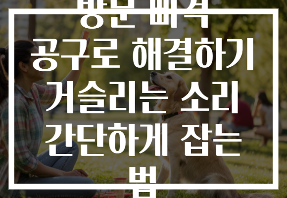 방문 삐걱 공구로 해결하기 거슬리는 소리 간단하게 잡는 법