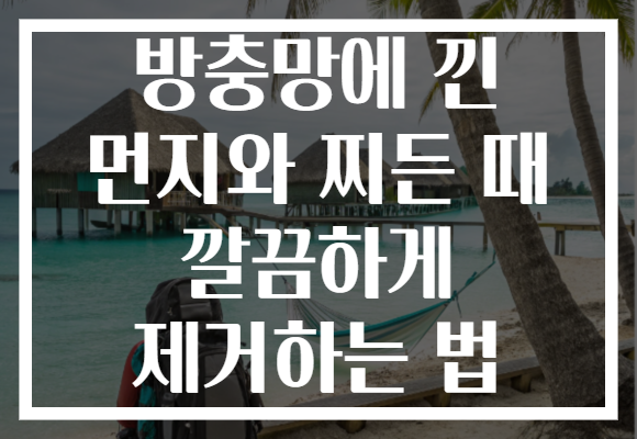 방충망에 낀 먼지와 찌든 때 깔끔하게 제거하는 법