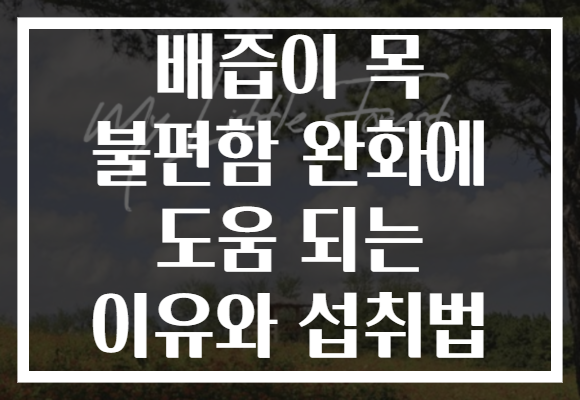 배즙이 목 불편함 완화에 도움 되는 이유와 섭취법
