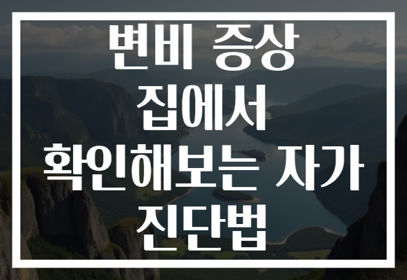변비 증상 집에서 확인해보는 자가 진단법