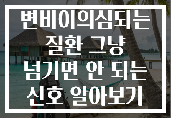 변비이의심되는 질환 그냥 넘기면 안 되는 신호 알아보기