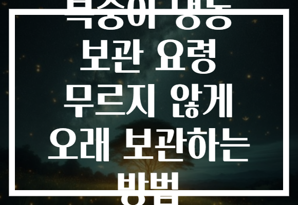복숭아 냉동 보관 요령 무르지 않게 오래 보관하는 방법