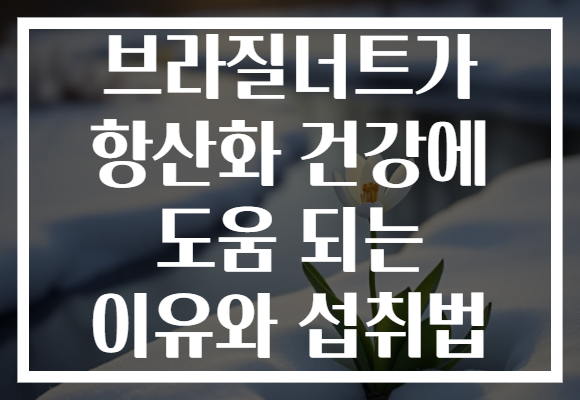 브라질너트가 항산화 건강에 도움 되는 이유와 섭취법