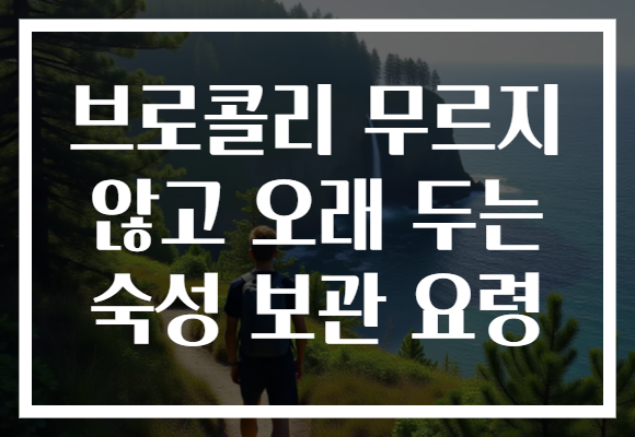 브로콜리 무르지 않고 오래 두는 숙성 보관 요령