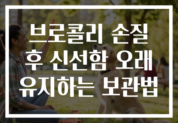 브로콜리 손질 후 신선함 오래 유지하는 보관법