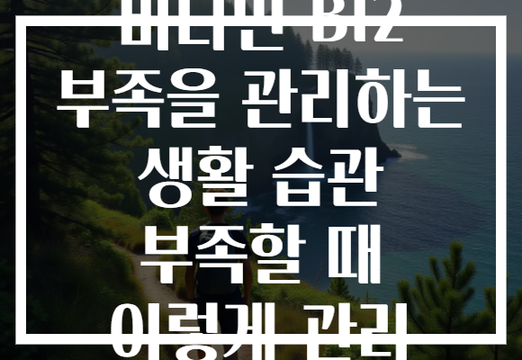 비타민 B12 부족을 관리하는 생활 습관 부족할 때 이렇게 관리