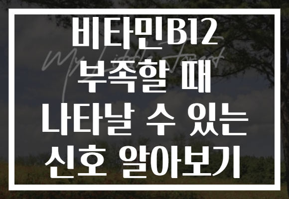 비타민B12 부족할 때 나타날 수 있는 신호 알아보기