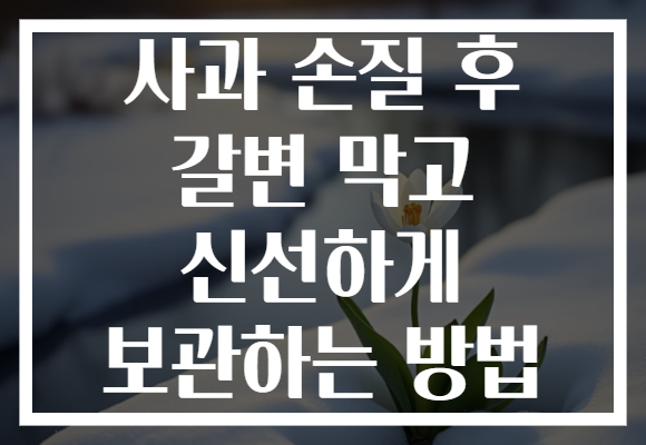 사과 손질 후 갈변 막고 신선하게 보관하는 방법