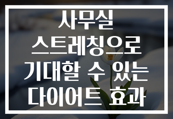 사무실 스트레칭으로 기대할 수 있는 다이어트 효과