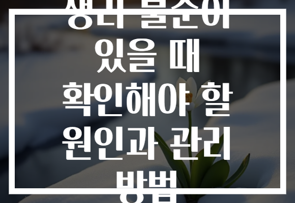 생리 불순이 있을 때 확인해야 할 원인과 관리 방법
