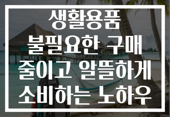 생활용품 불필요한 구매 줄이고 알뜰하게 소비하는 노하우