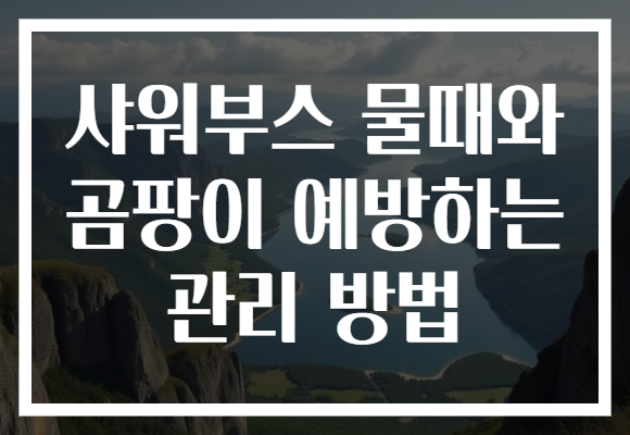 샤워부스 물때와 곰팡이 예방하는 관리 방법