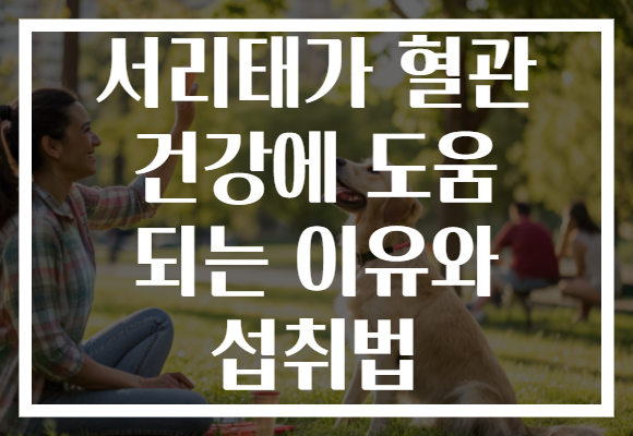 서리태가 혈관 건강에 도움 되는 이유와 섭취법