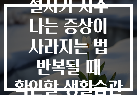 설사가 자주 나는 증상이 사라지는 법 반복될 때 확인할 생활습관