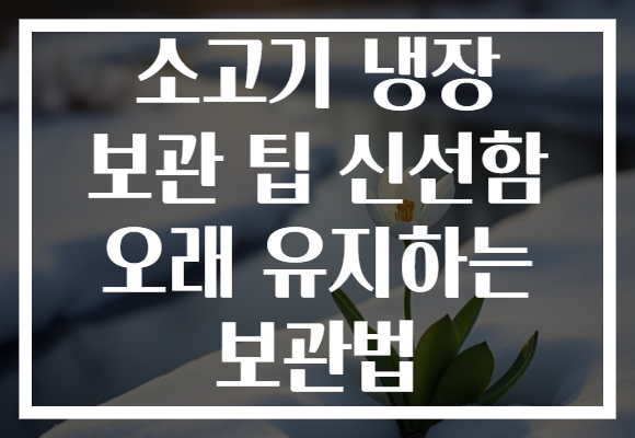 소고기 냉장 보관 팁 신선함 오래 유지하는 보관법