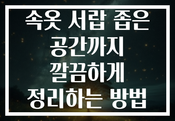 속옷 서랍 좁은 공간까지 깔끔하게 정리하는 방법