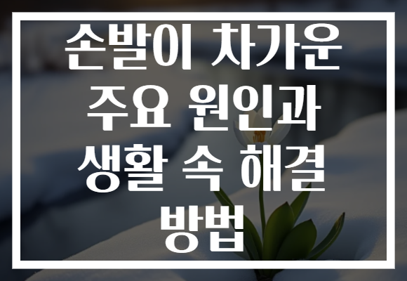 손발이 차가운 주요 원인과 생활 속 해결 방법