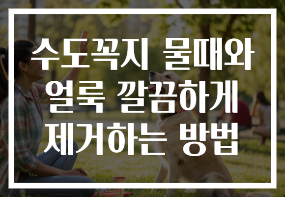 수도꼭지 물때와 얼룩 깔끔하게 제거하는 방법