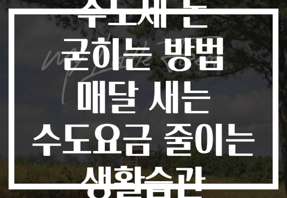 수도세 돈 굳히는 방법 매달 새는 수도요금 줄이는 생활습관