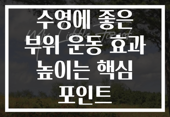 수영에 좋은 부위 운동 효과 높이는 핵심 포인트