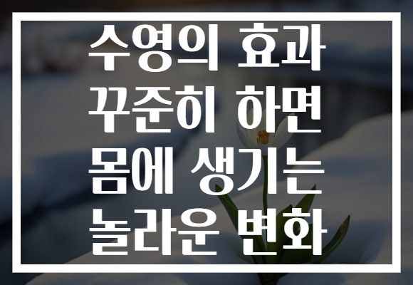 수영의 효과 꾸준히 하면 몸에 생기는 놀라운 변화