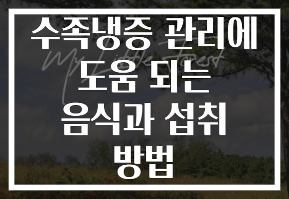 수족냉증 관리에 도움 되는 음식과 섭취 방법