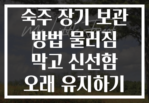숙주 장기 보관 방법 물러짐 막고 신선함 오래 유지하기