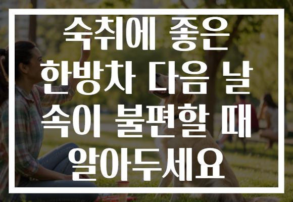 숙취에 좋은 한방차 다음 날 속이 불편할 때 알아두세요