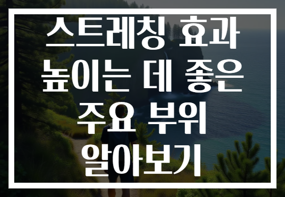 스트레칭 효과 높이는 데 좋은 주요 부위 알아보기