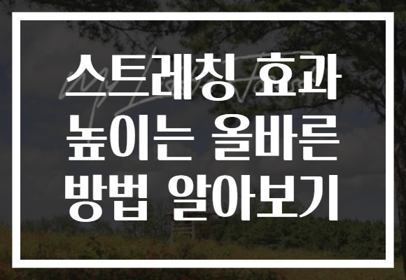 스트레칭 효과 높이는 올바른 방법 알아보기
