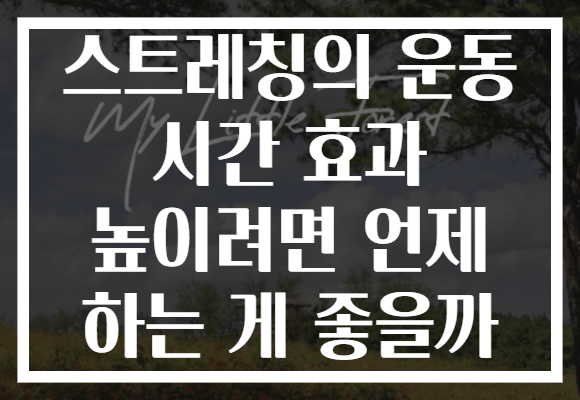 스트레칭의 운동 시간 효과 높이려면 언제 하는 게 좋을까