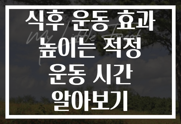 식후 운동 효과 높이는 적정 운동 시간 알아보기