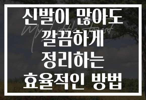 신발이 많아도 깔끔하게 정리하는 효율적인 방법