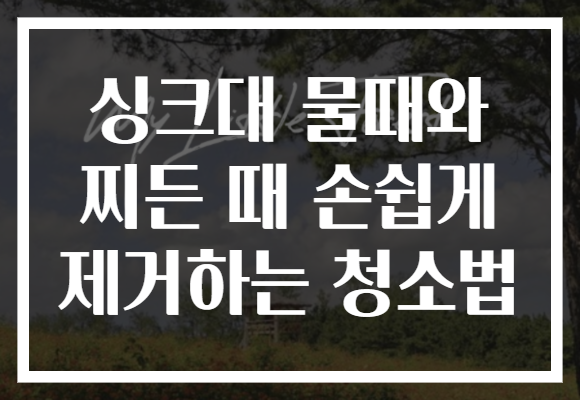 싱크대 물때와 찌든 때 손쉽게 제거하는 청소법