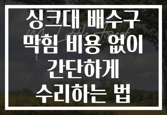 싱크대 배수구 막힘 비용 없이 간단하게 수리하는 법