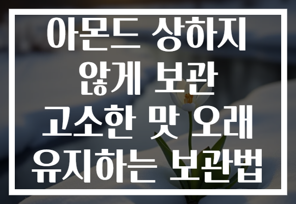아몬드 상하지 않게 보관 고소한 맛 오래 유지하는 보관법