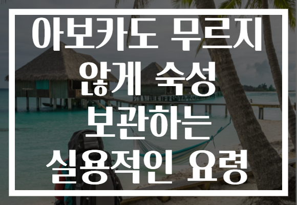 아보카도 무르지 않게 숙성 보관하는 실용적인 요령
