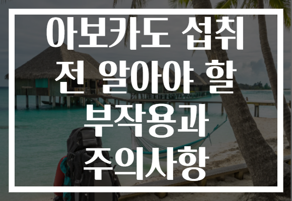아보카도 섭취 전 알아야 할 부작용과 주의사항