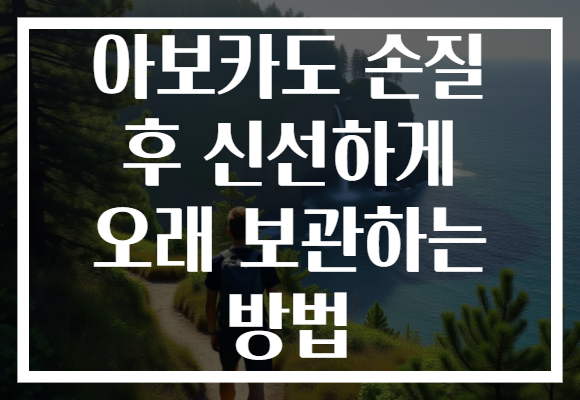 아보카도 손질 후 신선하게 오래 보관하는 방법