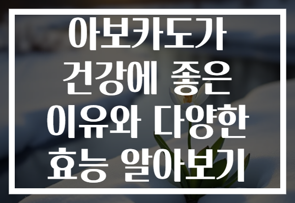 아보카도가 건강에 좋은 이유와 다양한 효능 알아보기