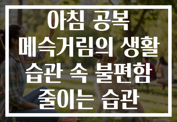 아침 공복 메슥거림의 생활 습관 속 불편함 줄이는 습관