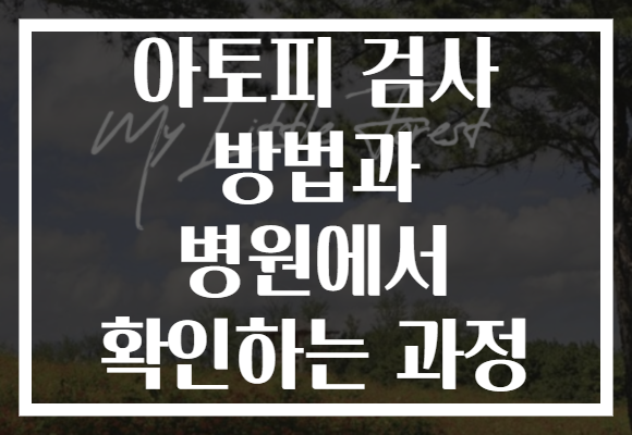 아토피 검사 방법과 병원에서 확인하는 과정