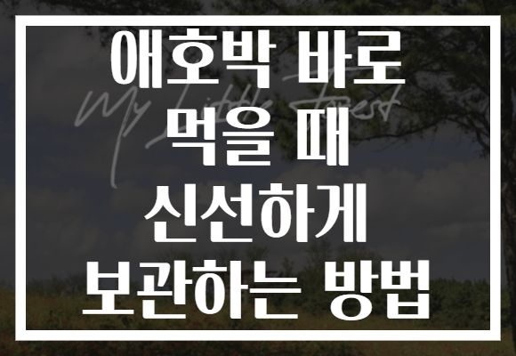 애호박 바로 먹을 때 신선하게 보관하는 방법