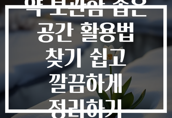 약 보관함 좁은 공간 활용법 찾기 쉽고 깔끔하게 정리하기